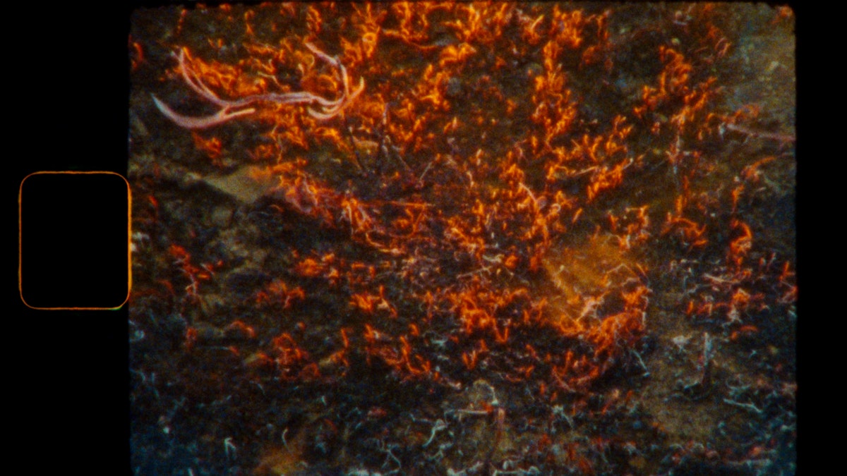 Series image 1