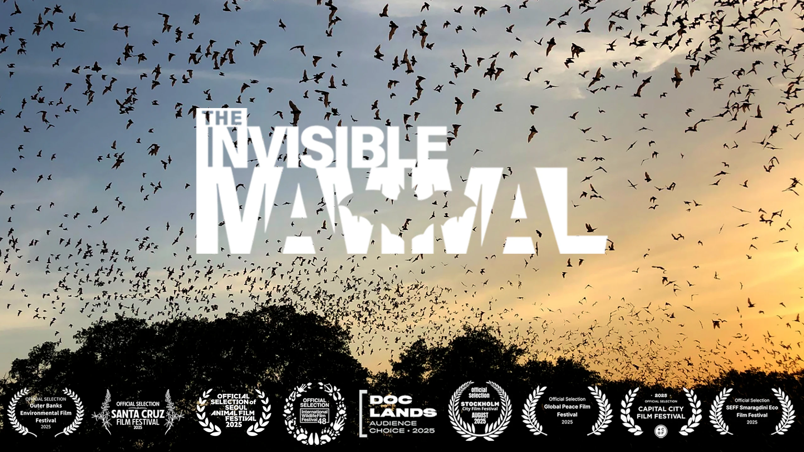 The Invisible Mammal