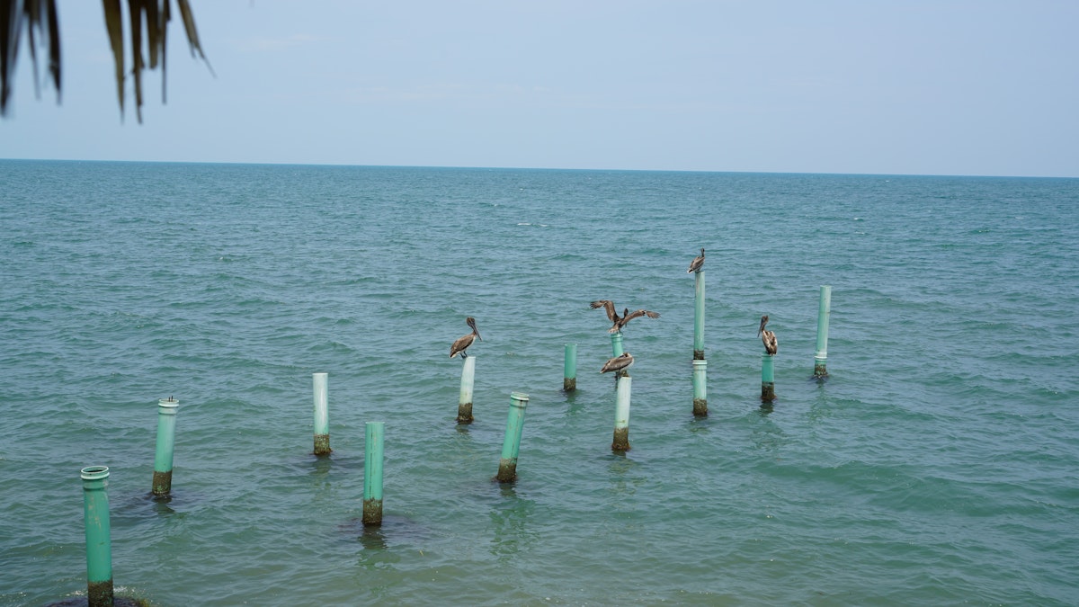 Series image 5