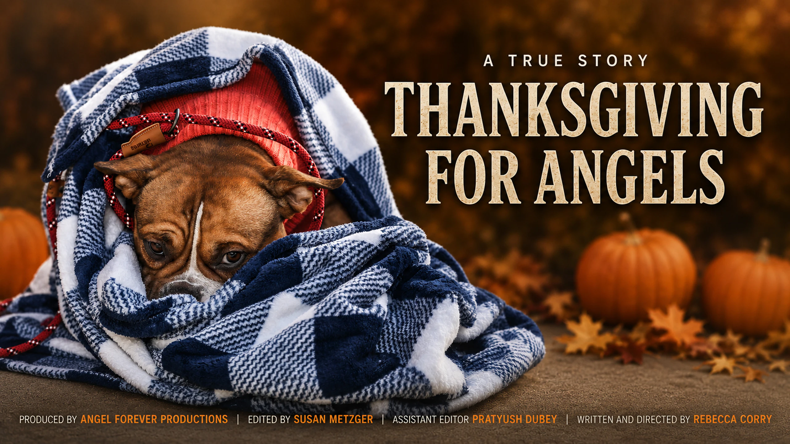 Thanksgiving For Angels