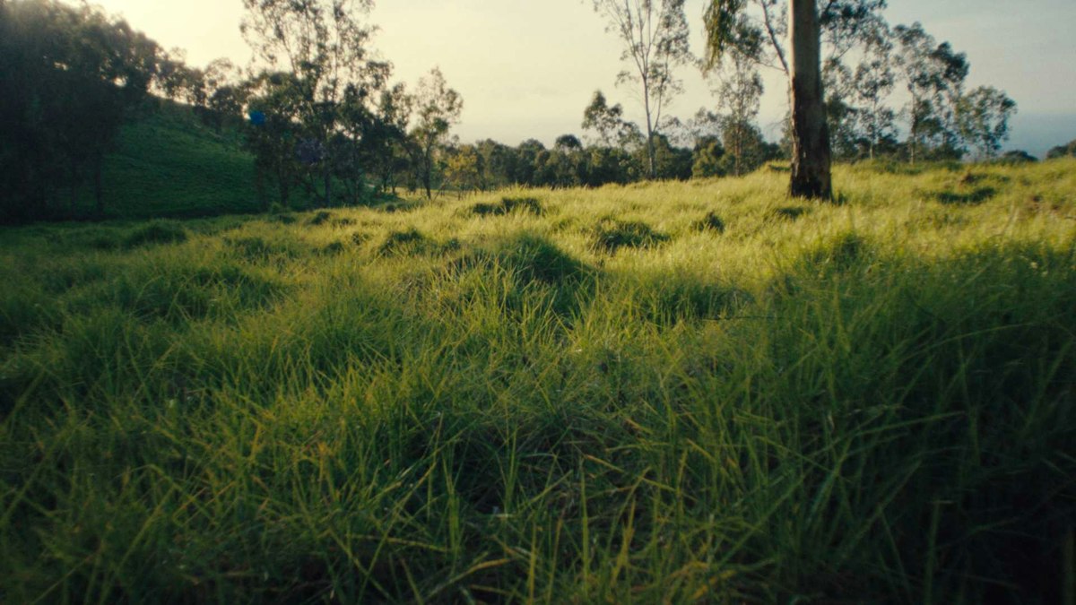 Series image 1