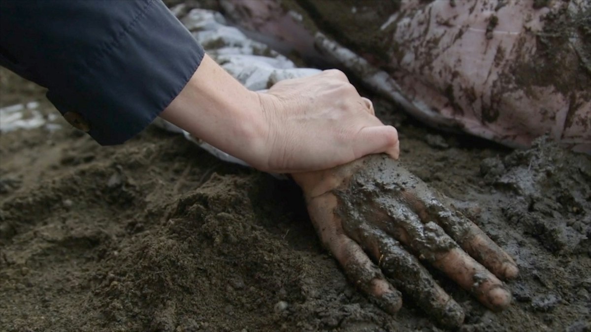 Series image 5