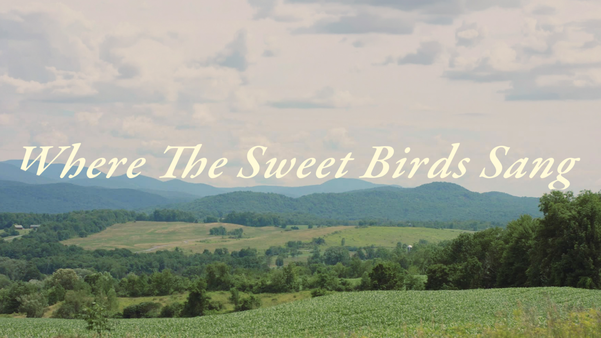 Where The Sweet Birds Sang