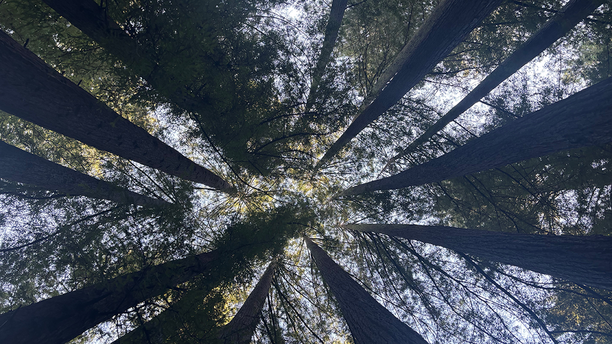 Series image 5