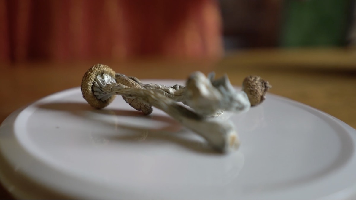 Series image 8