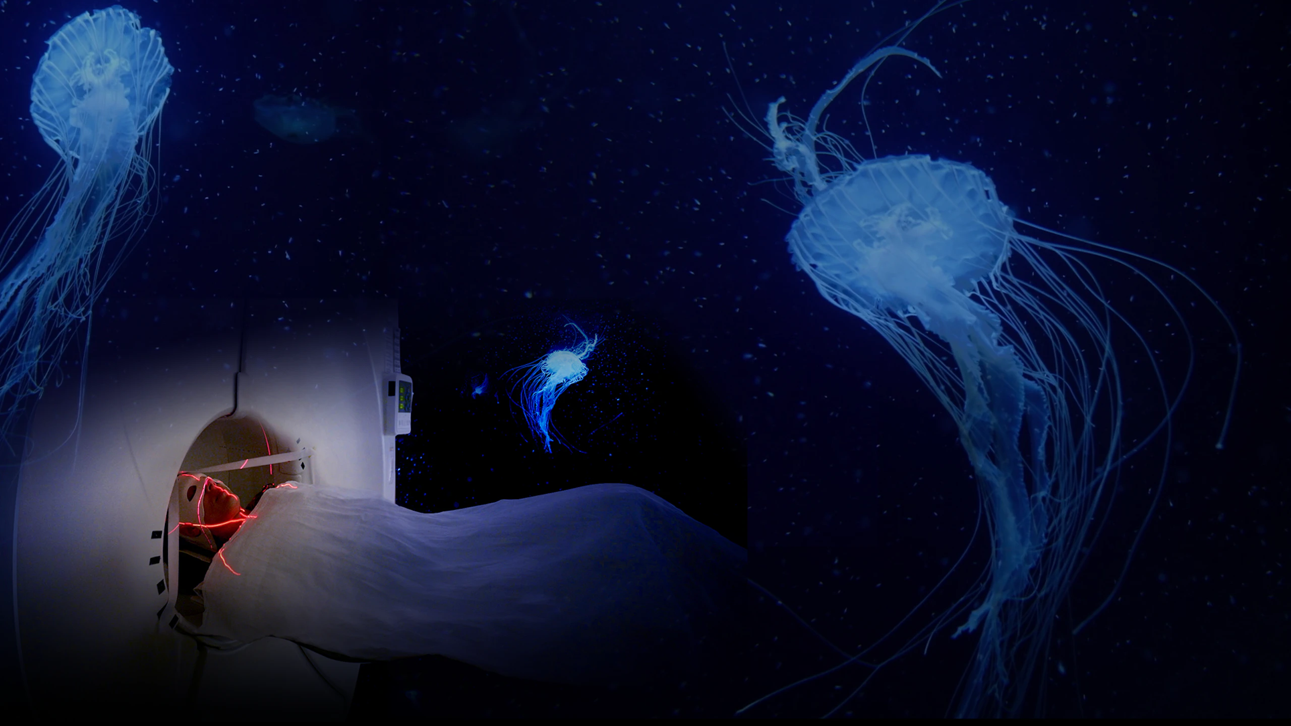 Aware: Glimpses of Consciousness