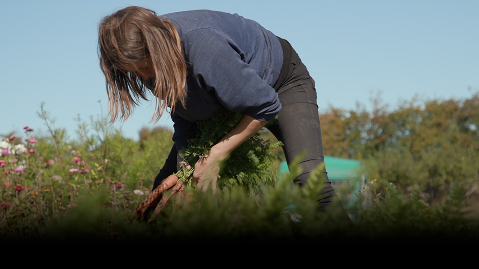 The Nature of Farming (Landbrugets Natur)