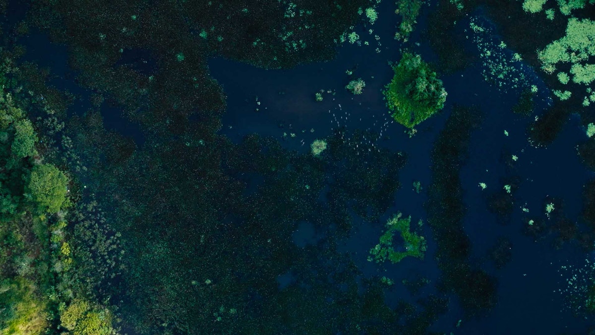 Series image 4