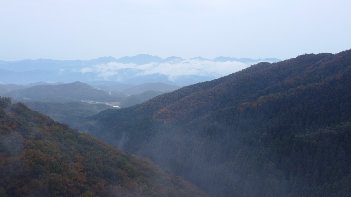 Series image 8