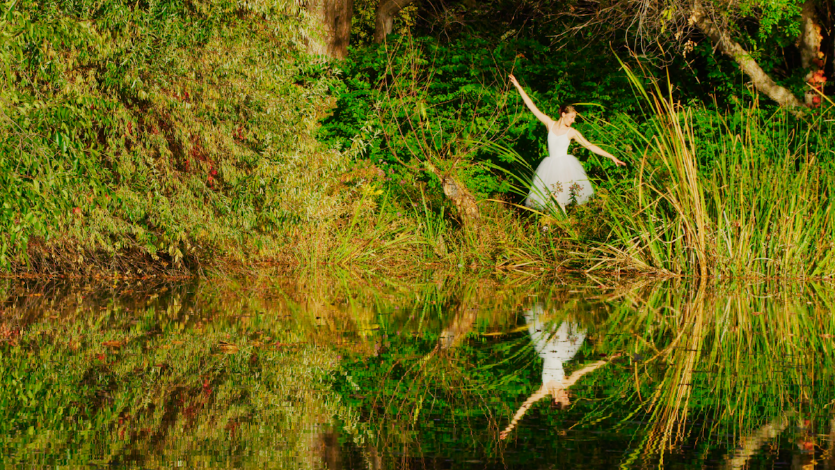 Series image 5