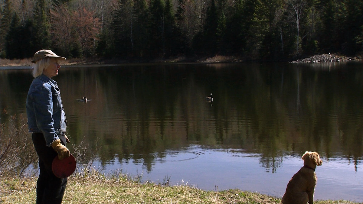 Series image 3