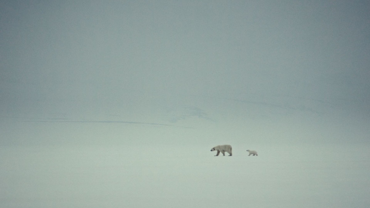 Series image 4