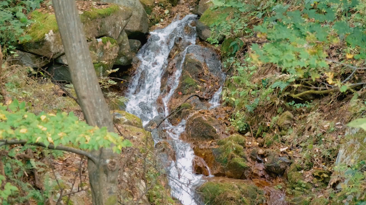 Series image 2