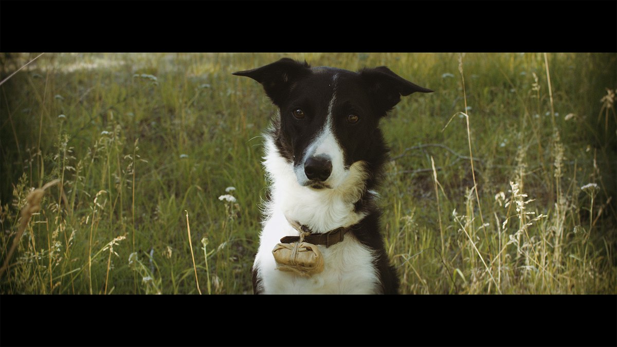 Series image 4