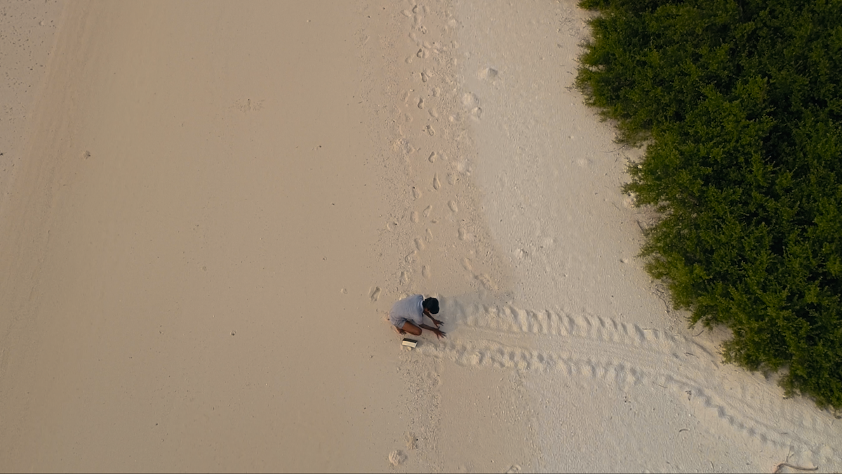 Series image 1